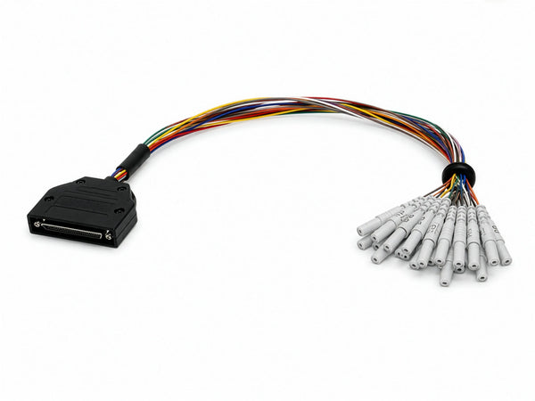 Câble adaptateur CNSAC pour casques EEG réutilisables