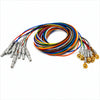 CNSAC Gold Cup EEG Electrodes with Colored Cables and Connectors