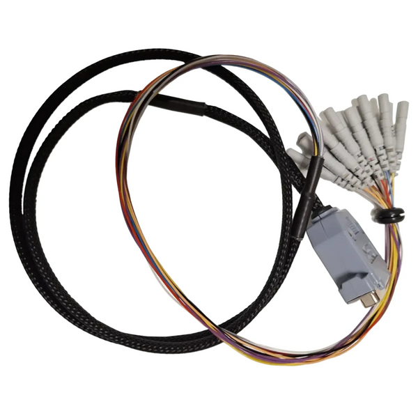 Adaptador para gorro de EEG desechable CNSAC, 13 canales